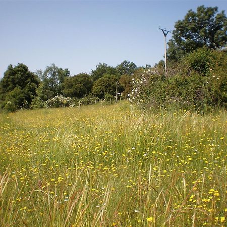 Arroyo de las Fraguas Hostal Restaurante Alto Rey מראה חיצוני תמונה